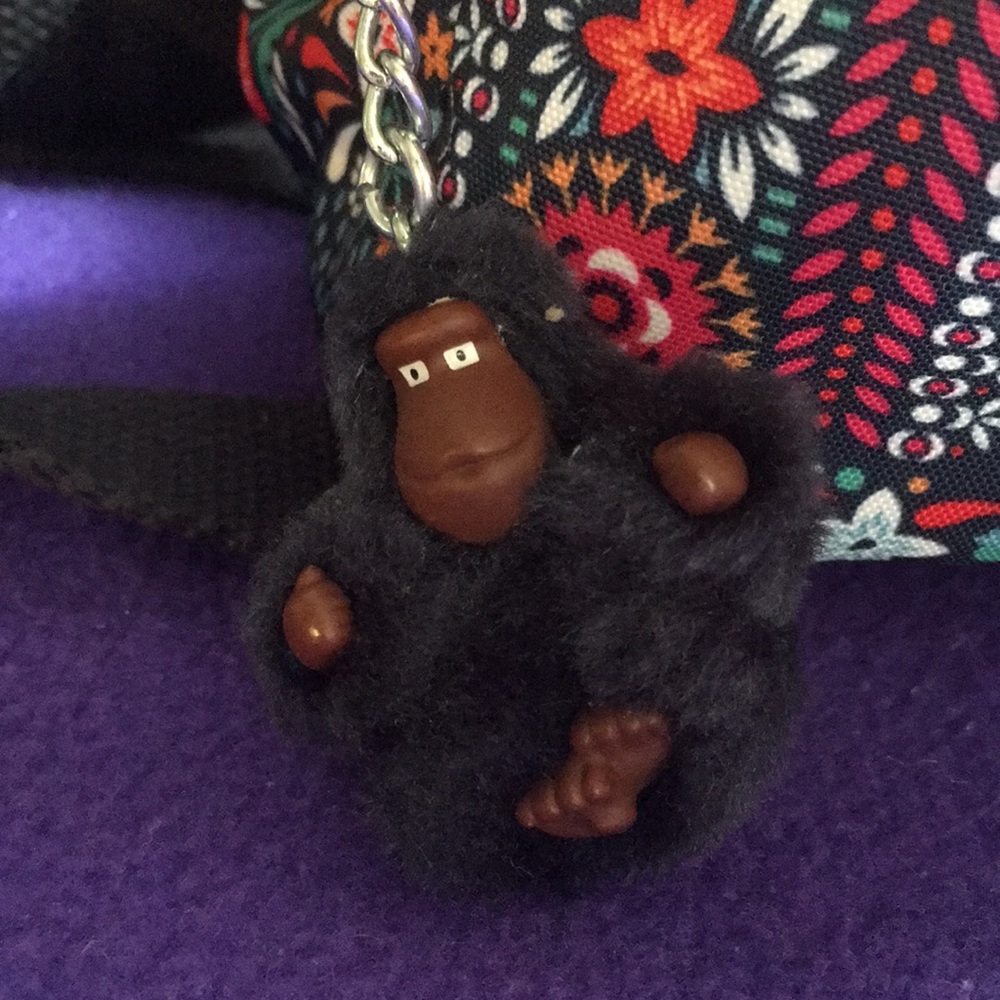 Kipling Bag - Picture 8 of 8